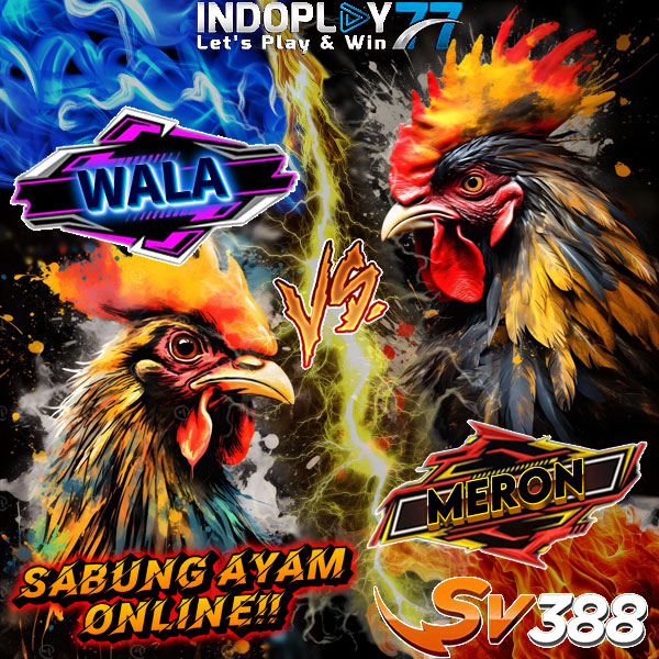 INDOPLAY77 🔥 Platform Resmi Live SV388 Sabung Ayam Online Terpercaya - WooCommerce eCommerce