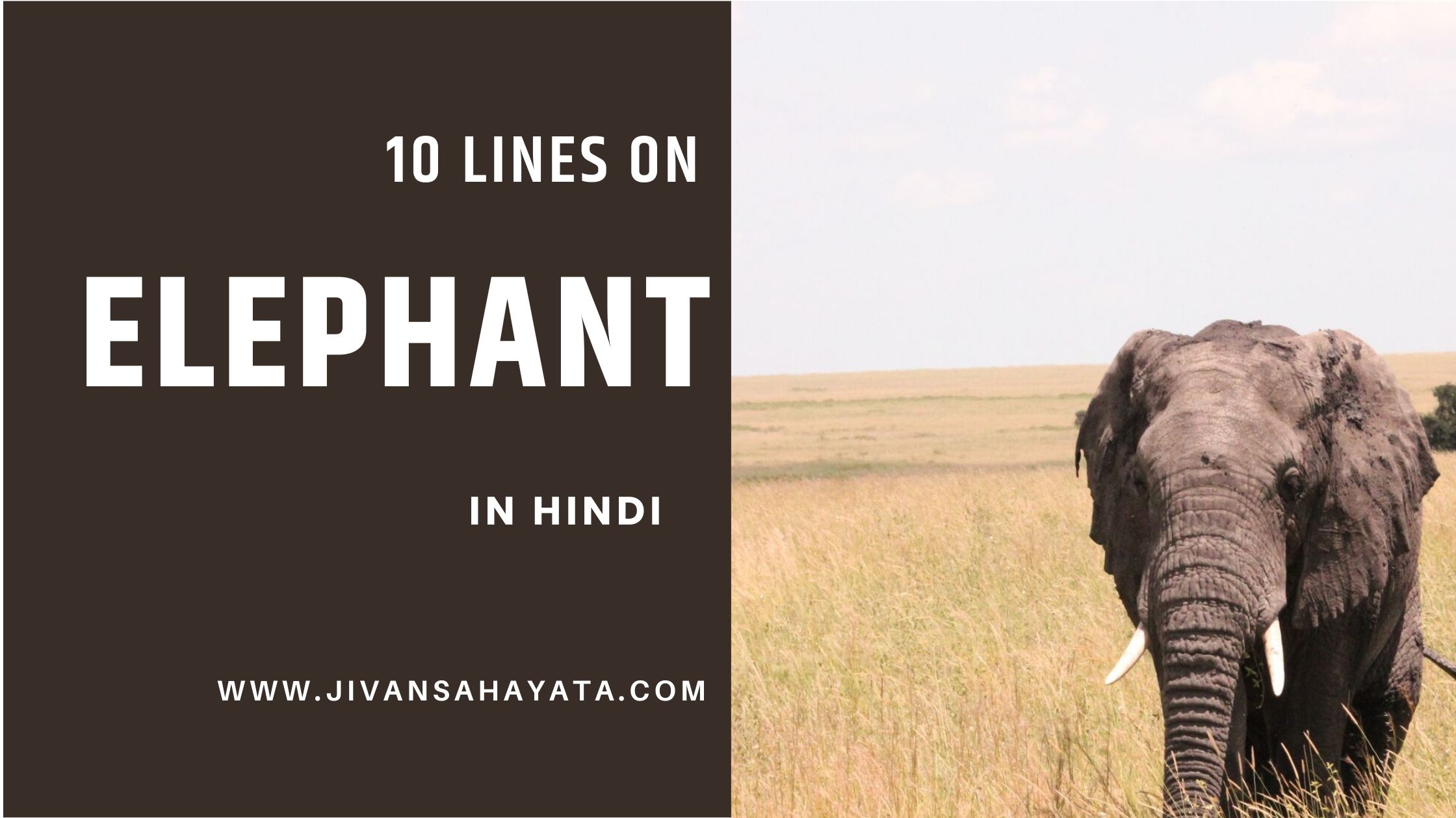 10 lines on elephant in Hindi
