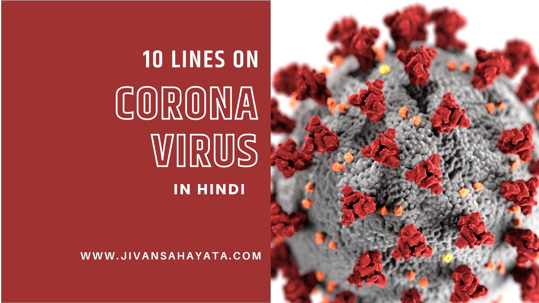 10 Lines on Corona Virus In Hindi