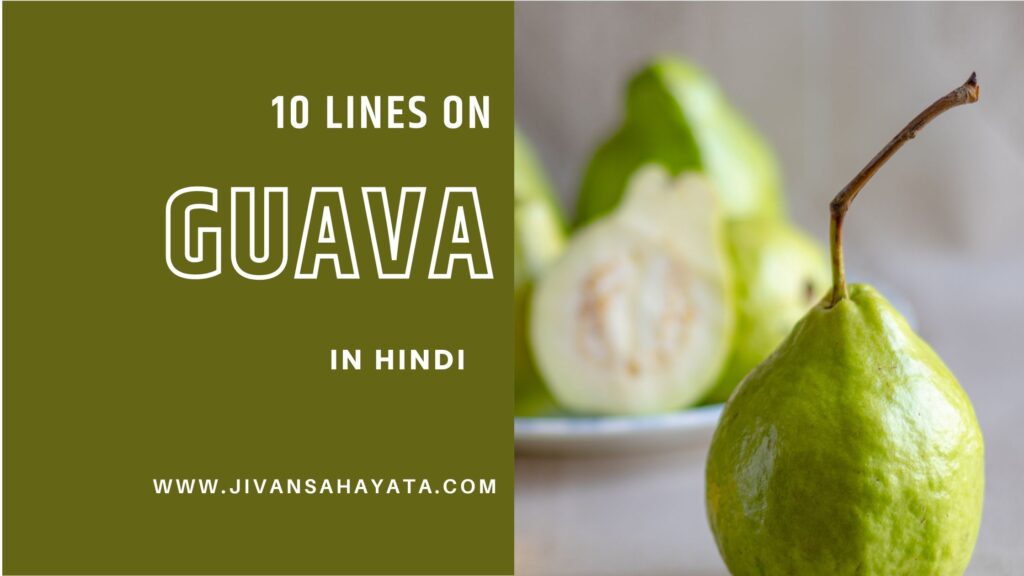 guava-in-hindi