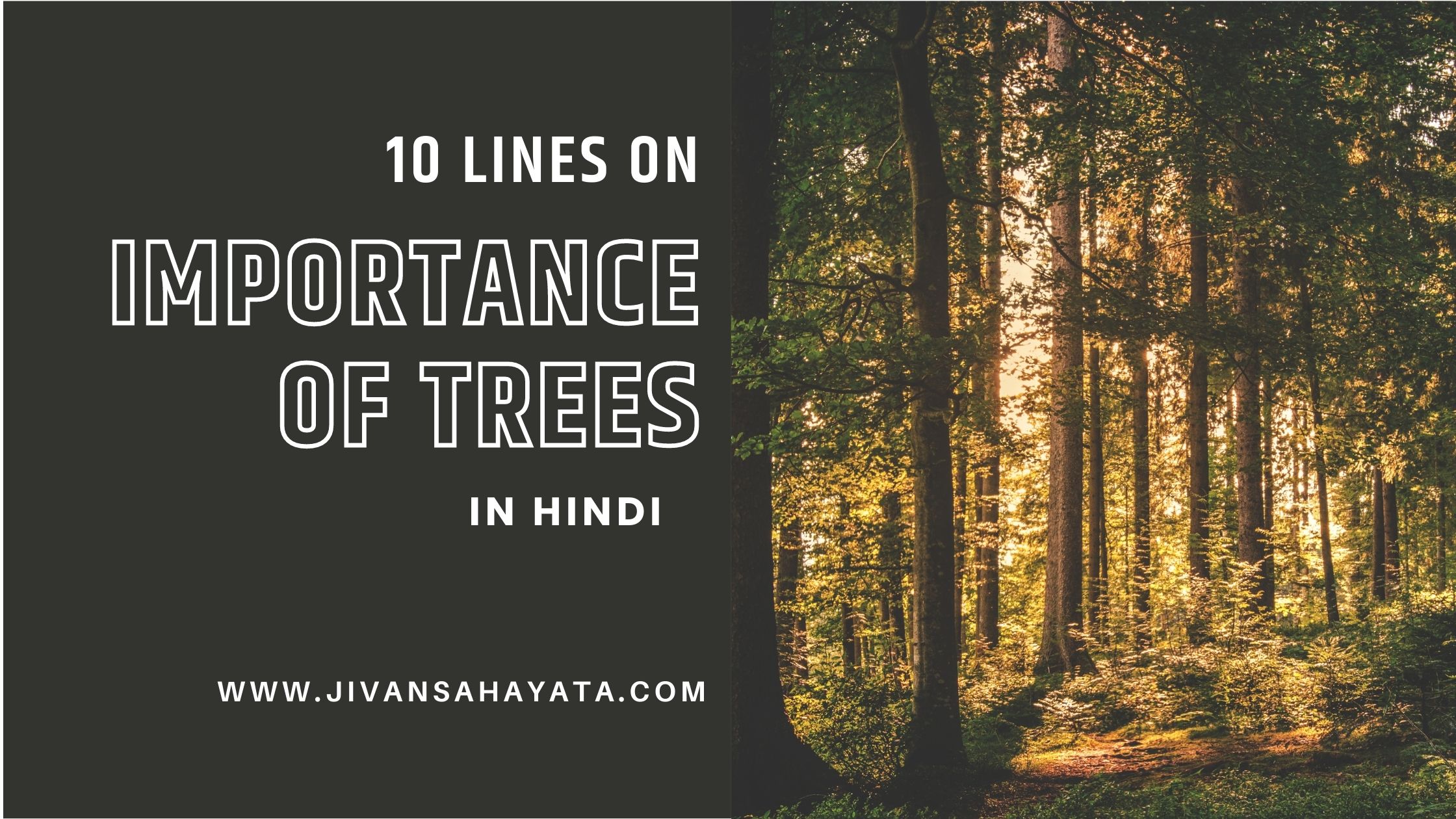 10 Lines On Importance Of Trees In Hindi - पेड़ का महत्व पर 10 लाइन