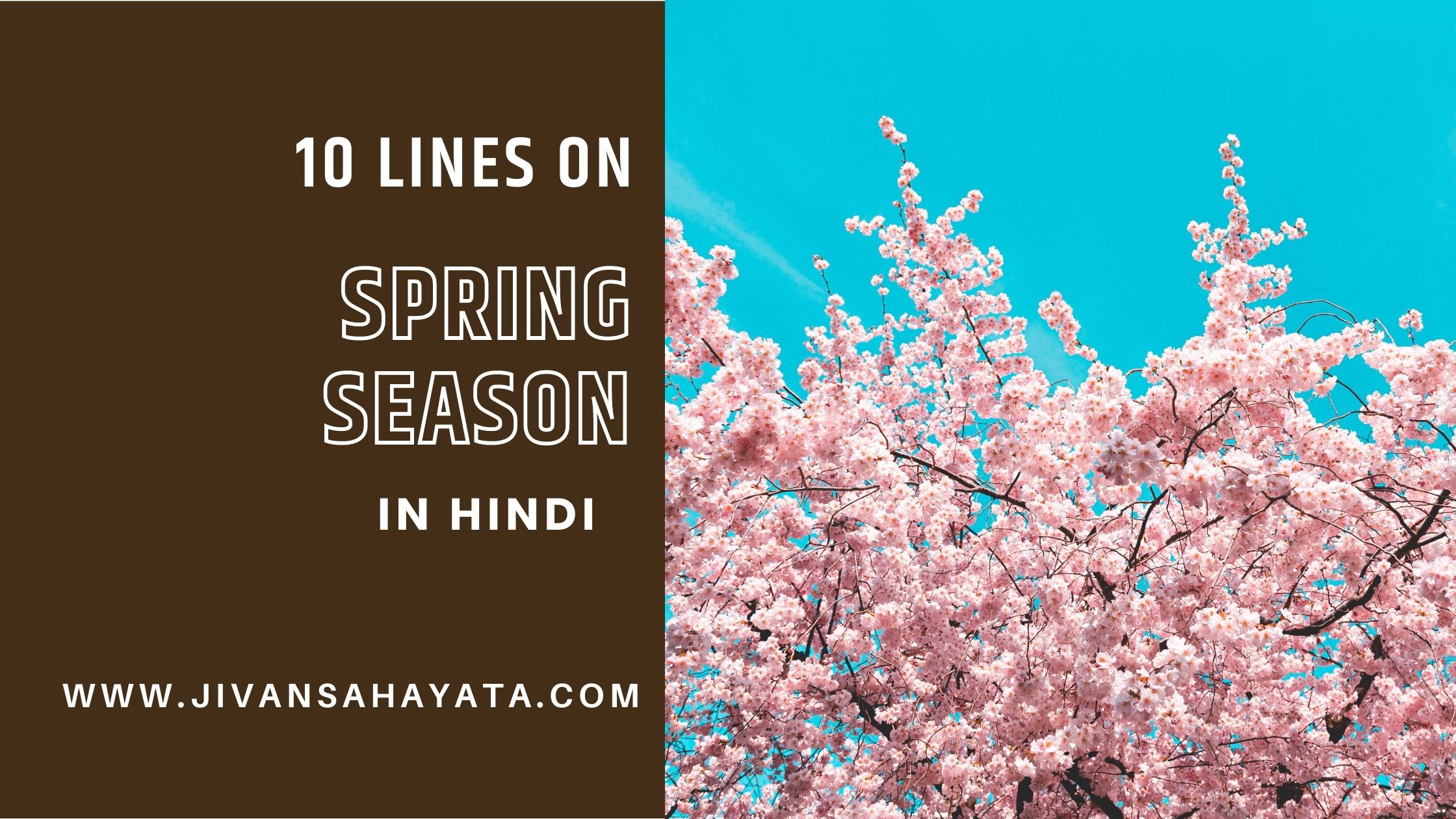 वसंत ऋतु पर 10 वाक्य -10 Lines about Spring Season in Hindi