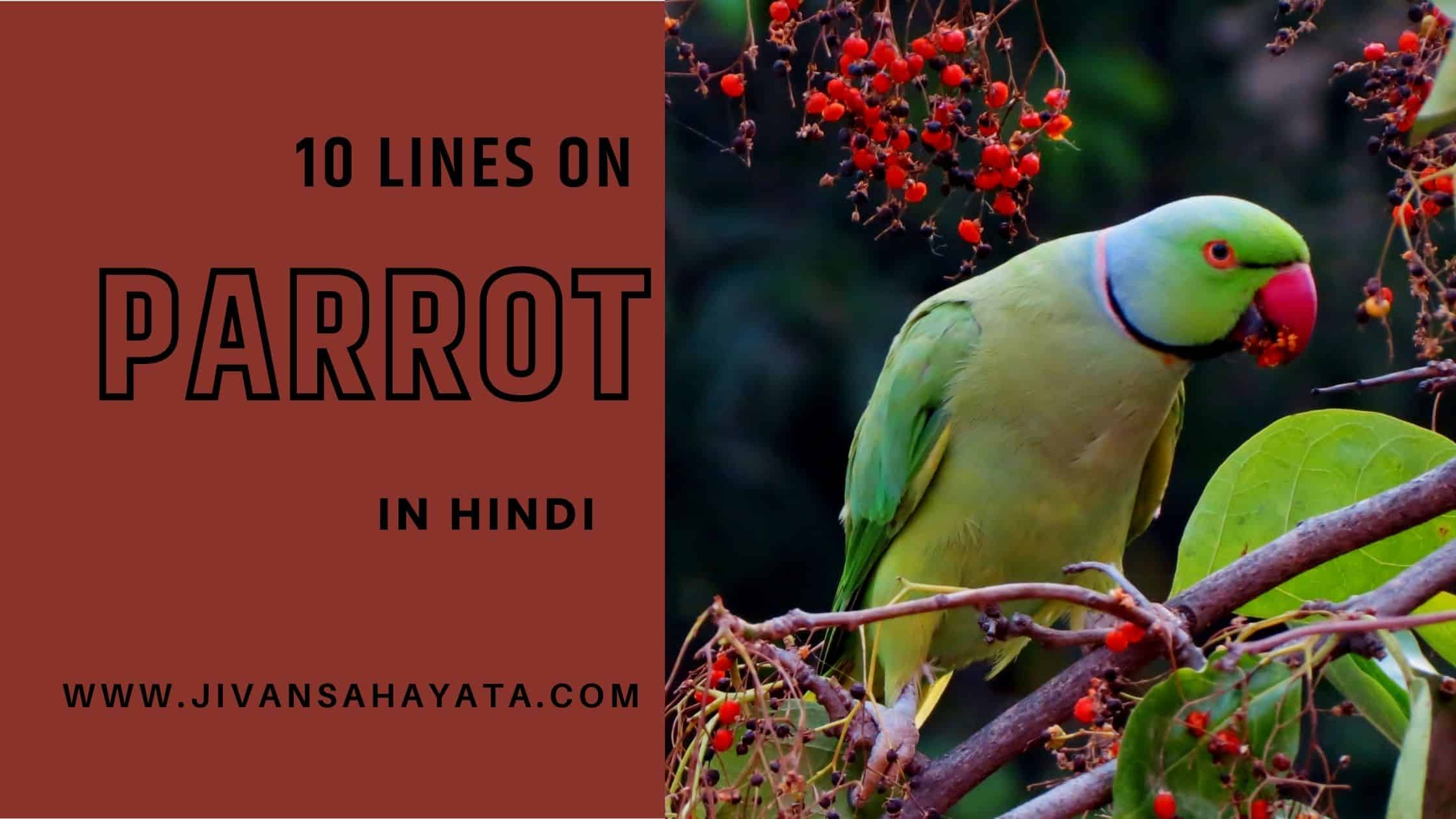 10 Lines On parrot In Hindi