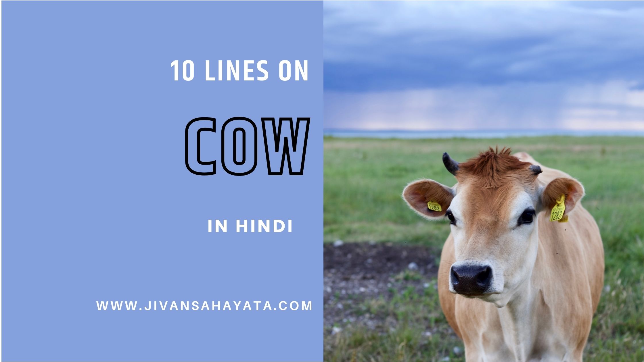 10 Lines on Cow in Hindi