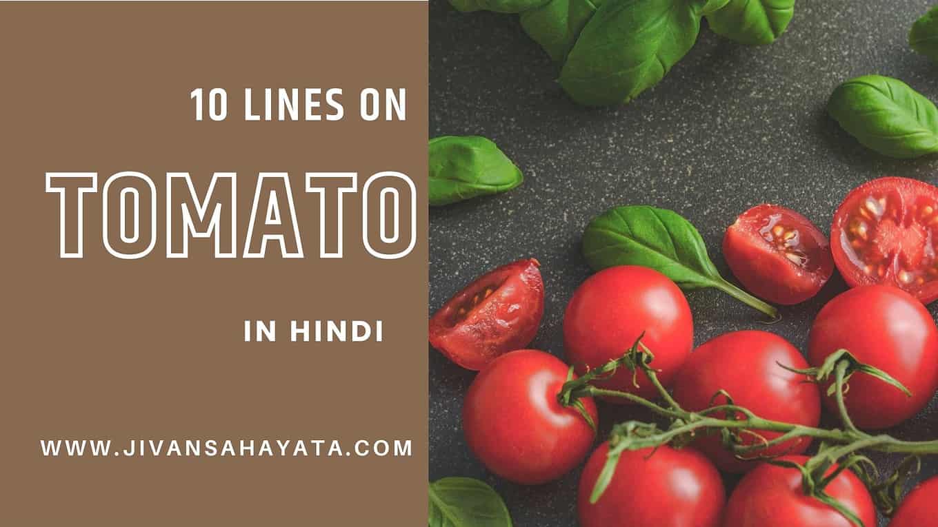 10 Lines on Tomato in Hindi - टमाटर पर 10 वाक्य