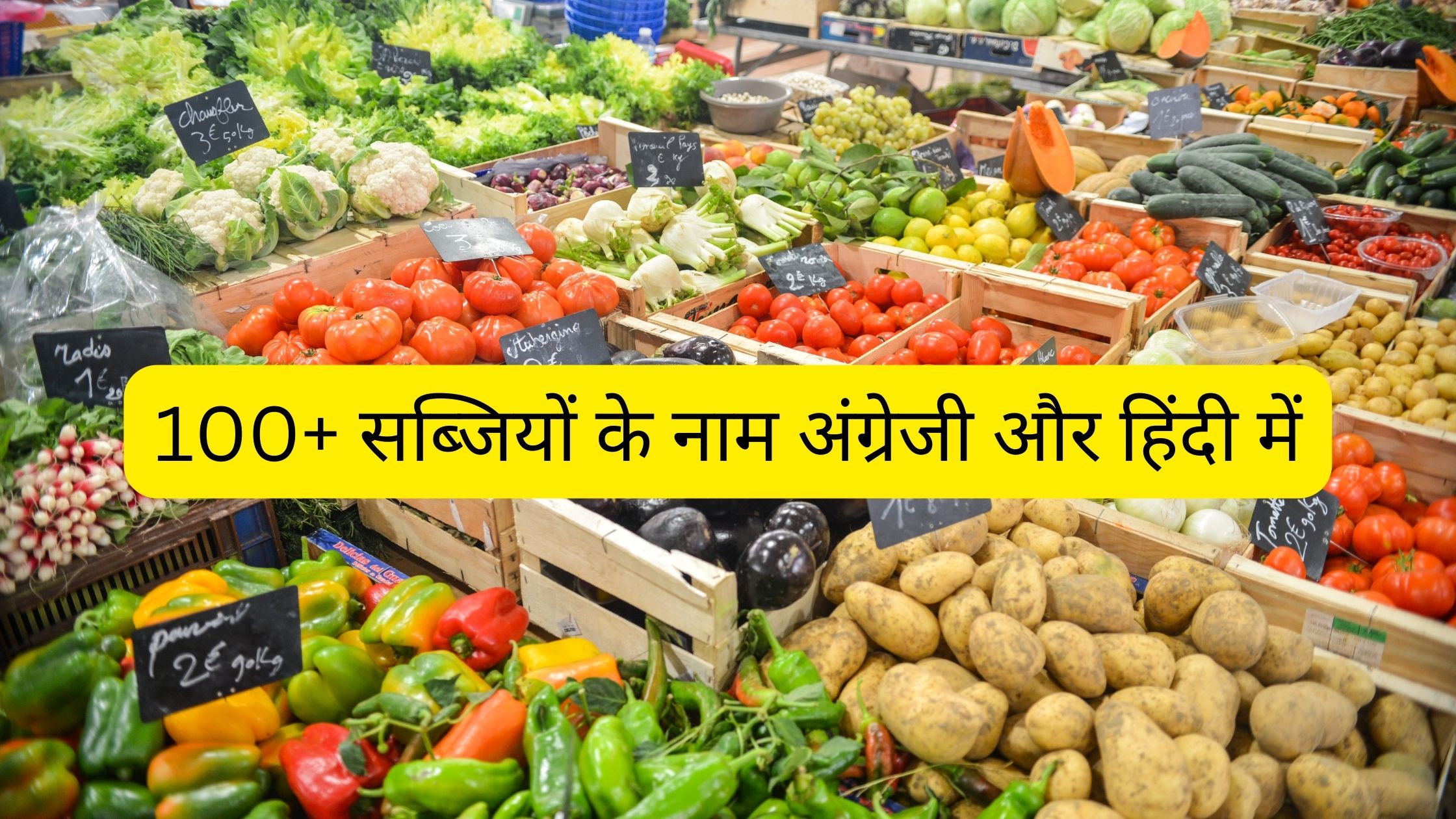 100+ Vegetables name in Hindi and English