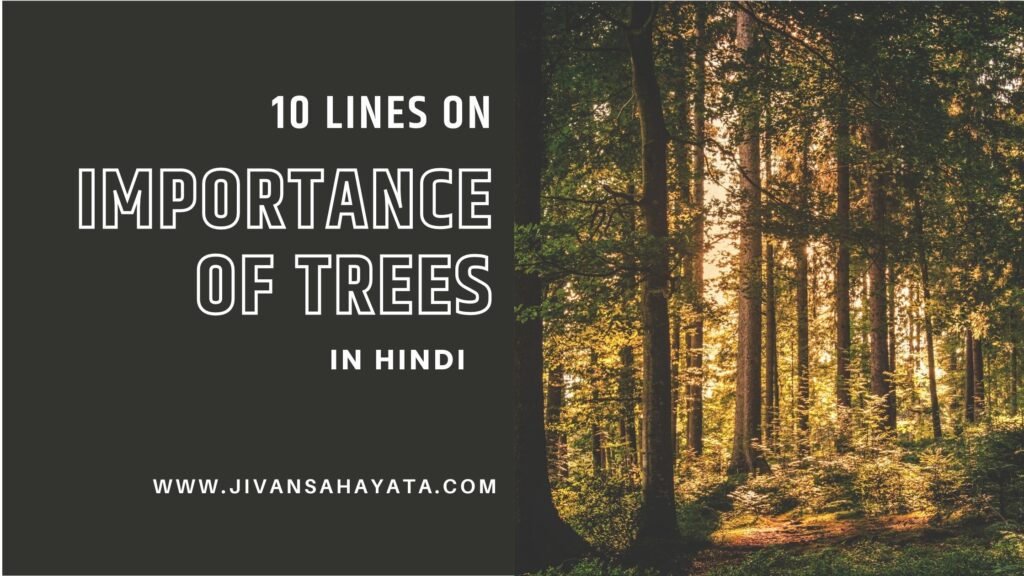 ᐅ 10 Lines On Importance Of Trees In Hindi पेड़ का महत्व पर 10 लाइन