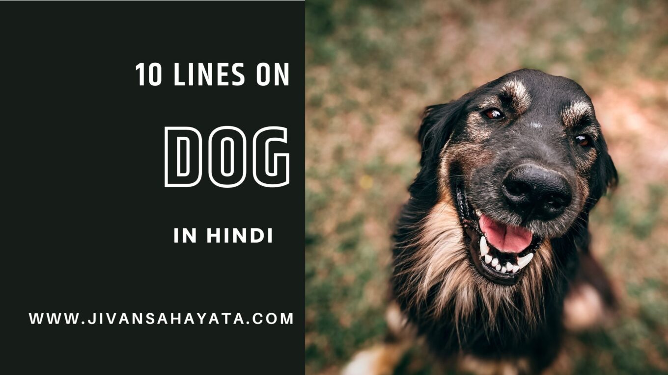 10 lines on Dog in Hindi