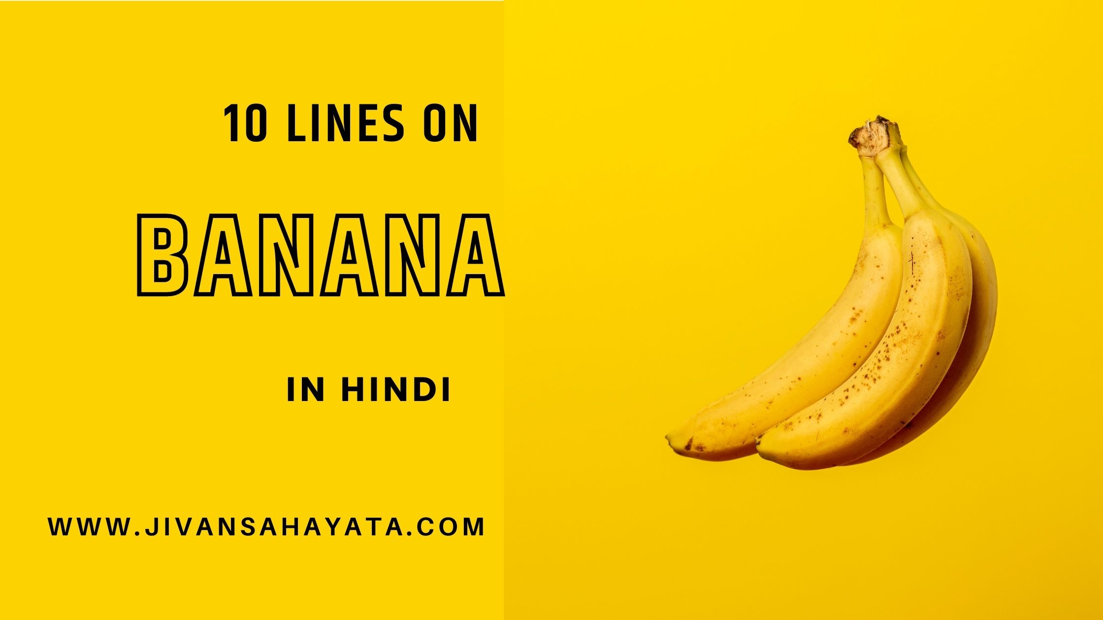 केले पर 10 वाक्य (10 Lines on Banana in Hindi) post thumbnail image