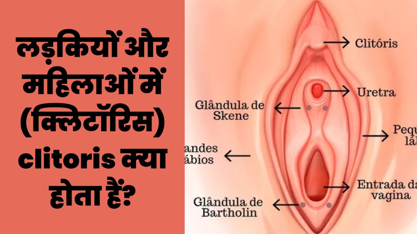 लड़कियों और महिलाओं में (क्लिटॉरिस) clitoris क्या होता हैं?