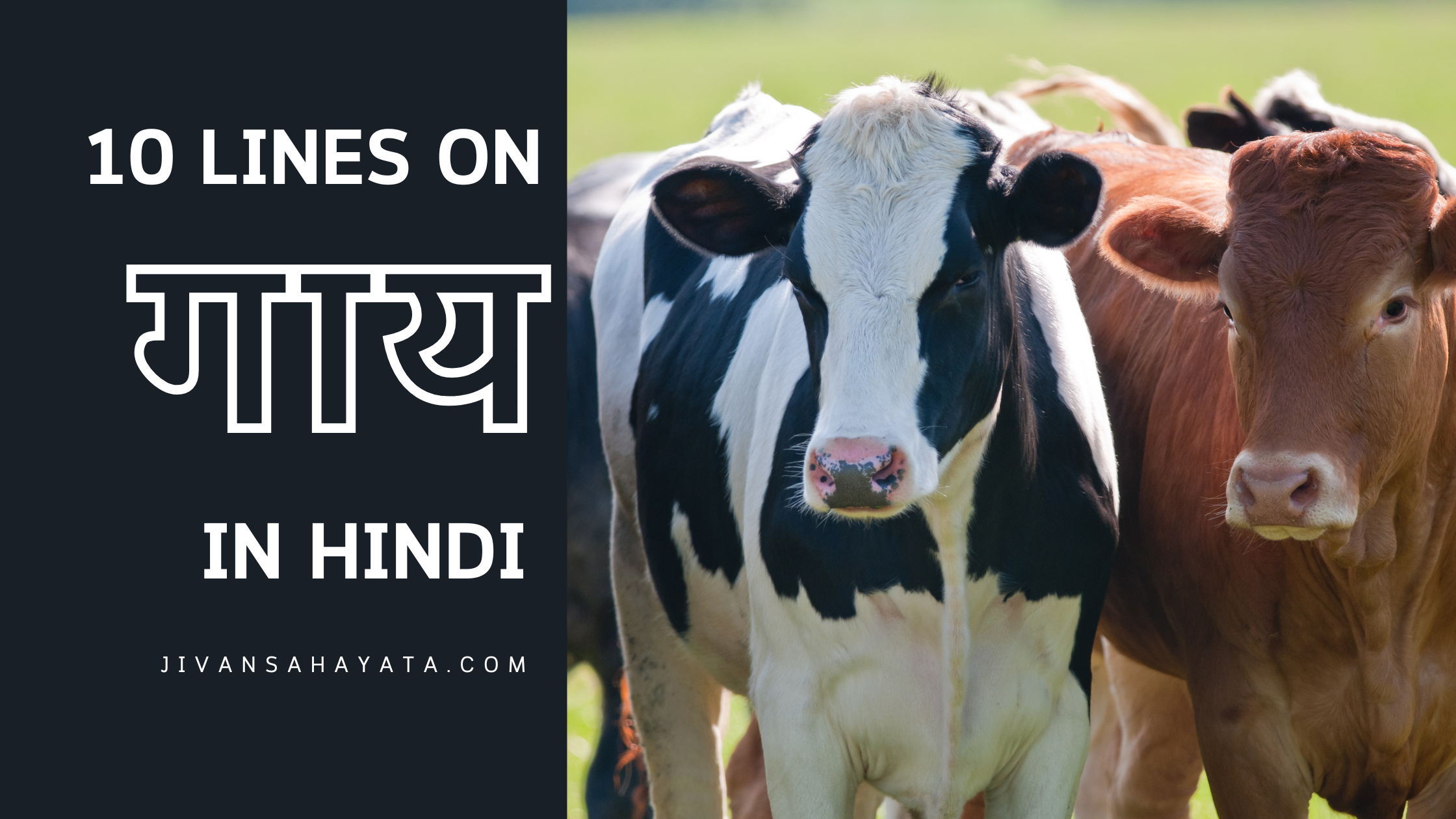 गाय पर 10 वाक्य (10 Lines on Cow in Hindi)