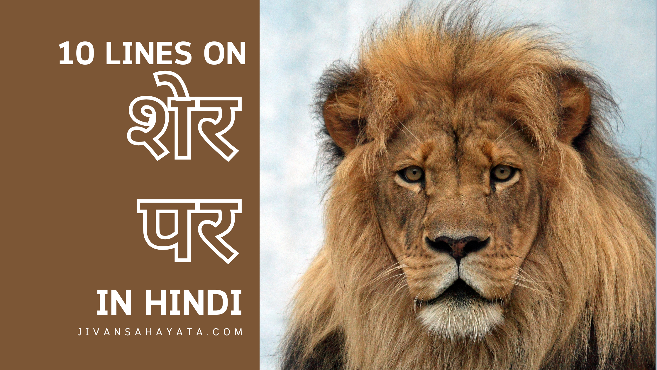 शेर पर 10 वाक्य | 10 lines on Lion in Hindi