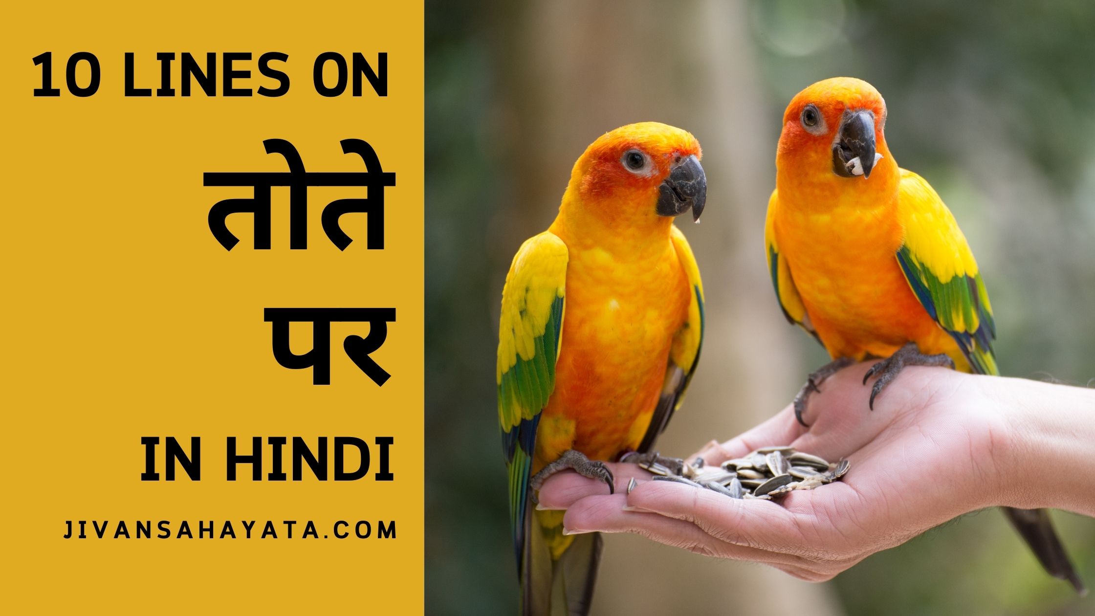 10 Lines on Parrot in Hindi