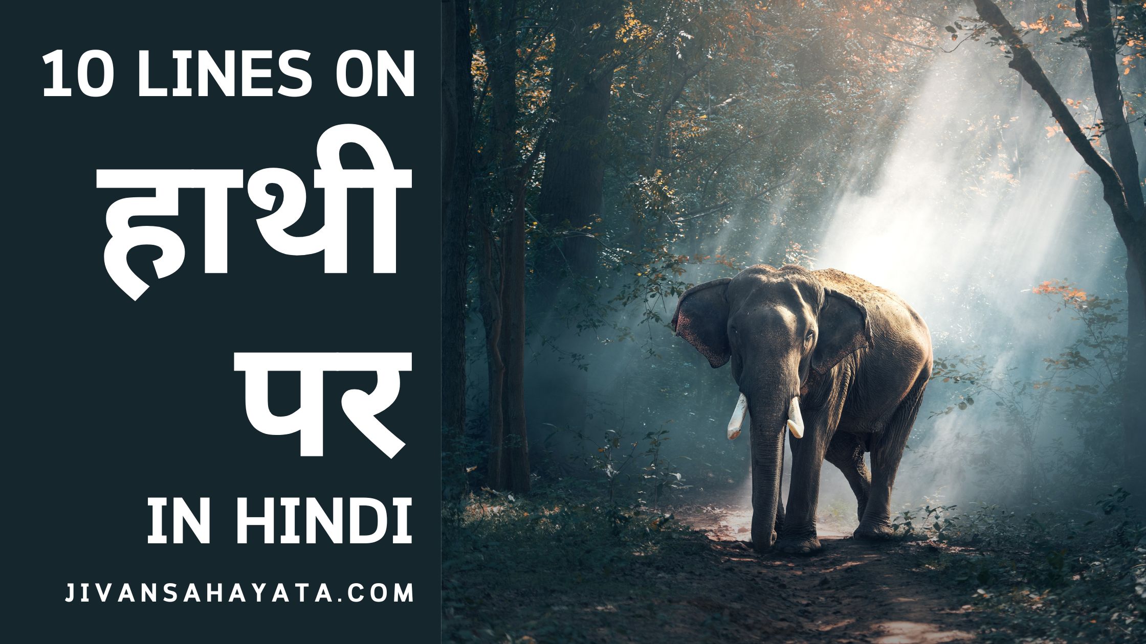 10 lines on Elephant In Hindi