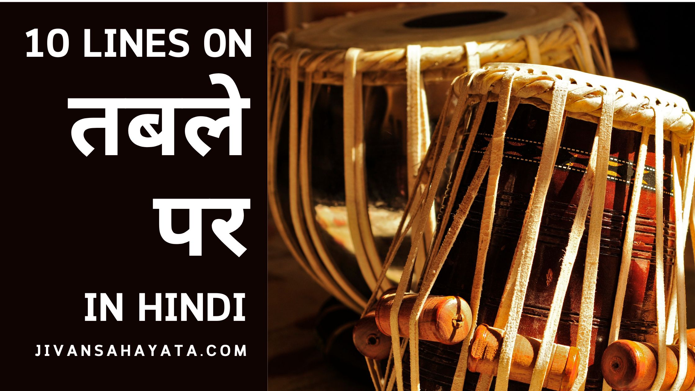 10 lines on TABLA in hindi