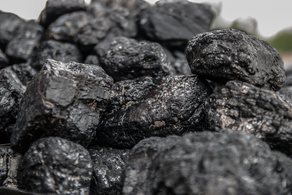 10 Lines on Non-Renewable Resources in Hindi