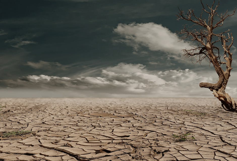 10 Lines on Challenges of Rural Life in Hindi