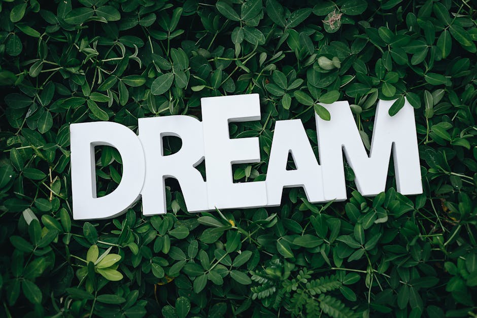 10 Lines on My Biggest Dream in Hindi
