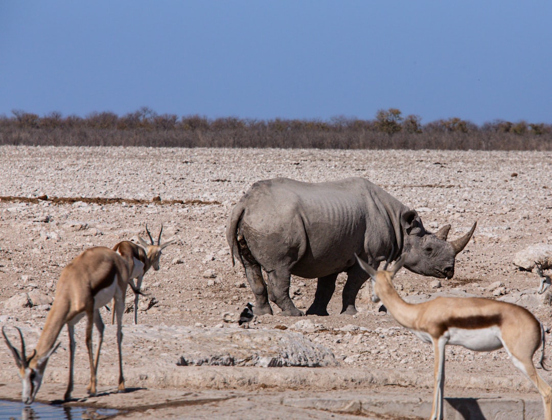 10 Lines on Importance of Protecting Endangered Species in Hindi