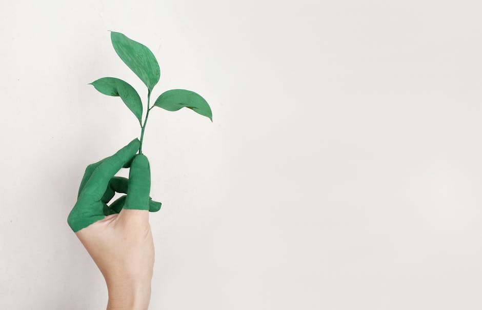 10 Lines on My Role in Environmental Protection in Hindi