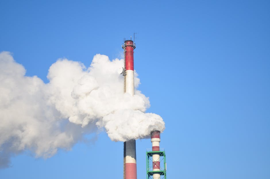 10 Lines on Impact of Climate Change in Hindi