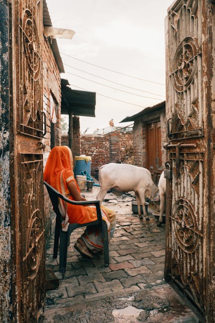 10 Lines on Challenges of Rural Life in Hindi