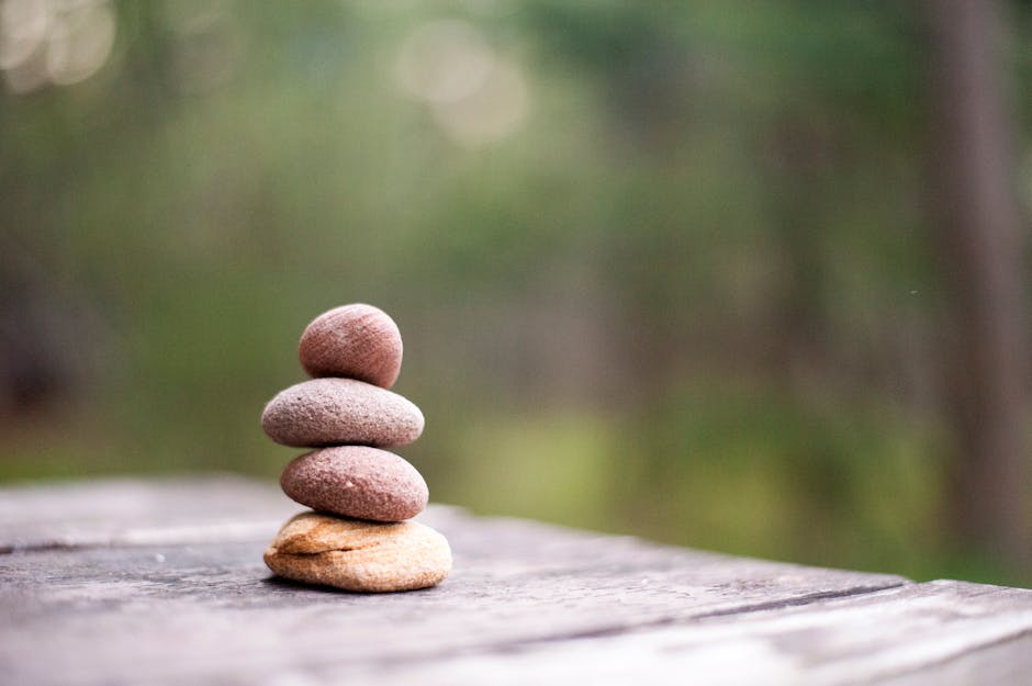 10 Lines on Importance of Non-Violence in Hindi