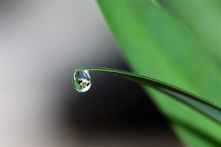 10 Lines on Importance of Clean Water in Hindi