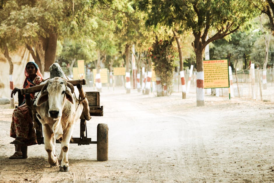 10 Lines on Importance of Agriculture in India in Hindi