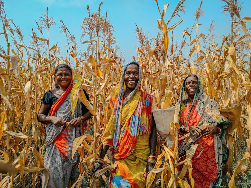 10 Lines on Development of Villages in India in Hindi