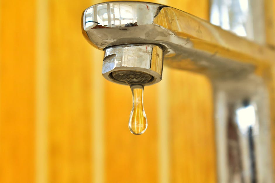 10 Lines on Importance of Water Conservation in Hindi