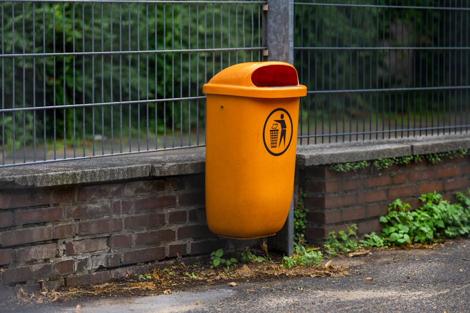 10 Lines on My Role in Promoting Cleanliness in My Area in Hindi