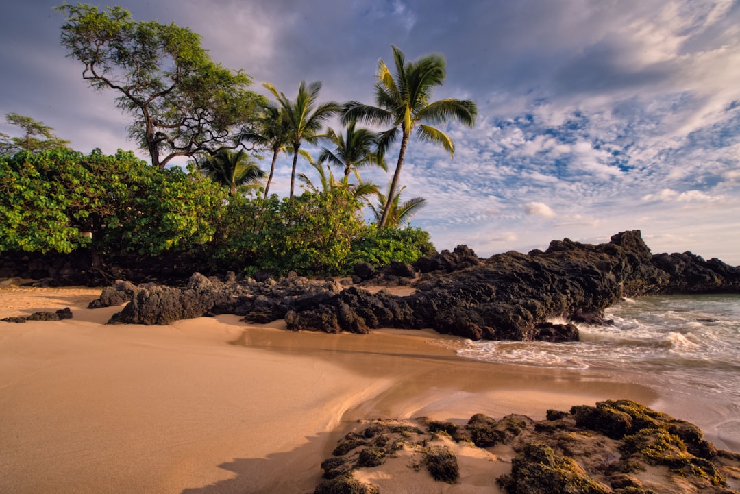 10 Lines on My Dream Vacation Spot in Hindi